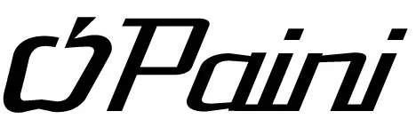 Paini